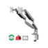 Dual Desk Mount